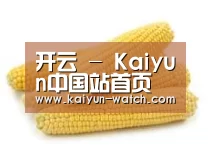 产品名称五