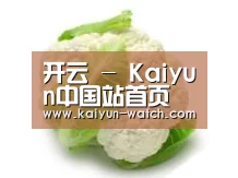 产品名称九