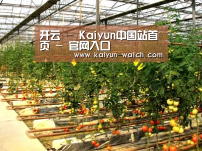 种植基地二