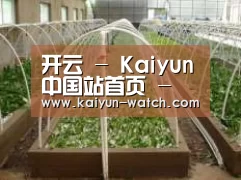 环境展示五